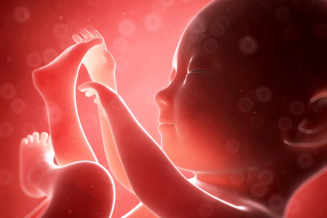 أسباب ضعف نمو الجنين في الأشهر الأولى من الحمل