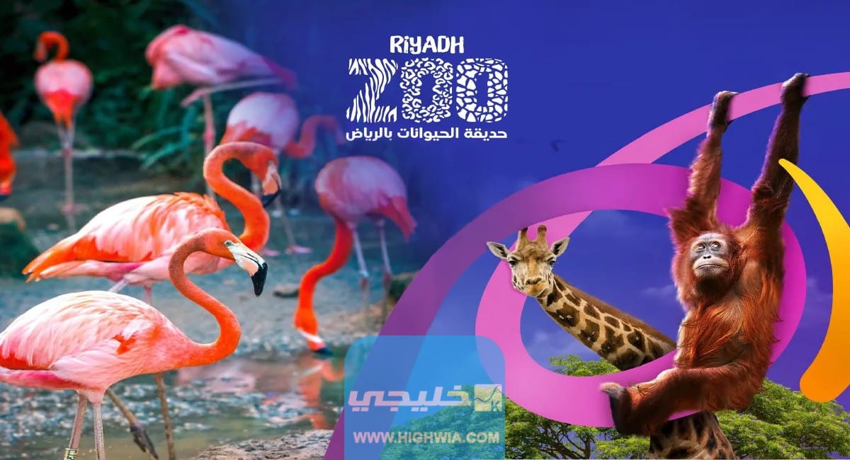 اسعار تذاكر حديقة الحيوان الرياض زوو في موسم الرياض 20231