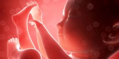 أسباب ضعف نمو الجنين في الأشهر الأولى من الحمل