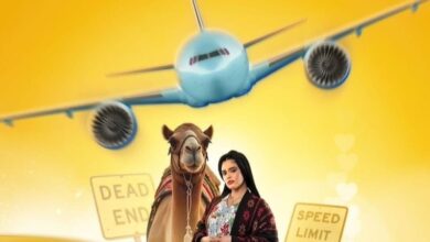 كم عدد حلقات مسلسل كويت رياض كويت 2025؟