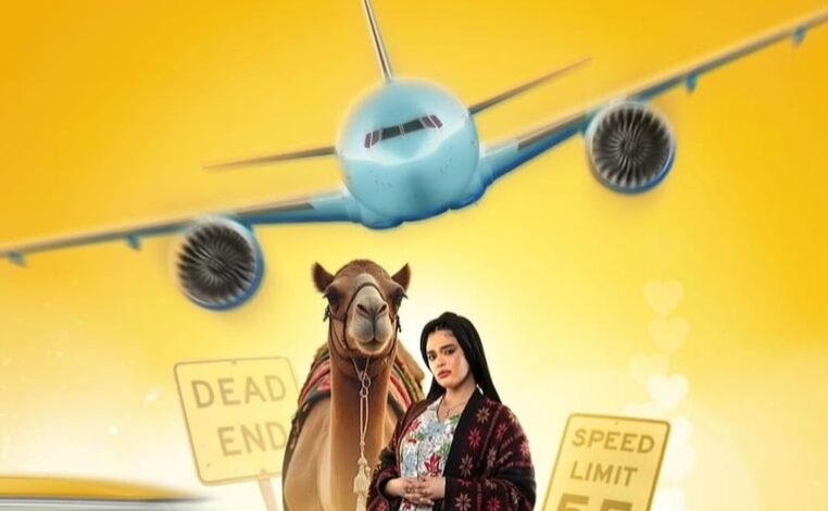 كم عدد حلقات مسلسل كويت رياض كويت 2025؟